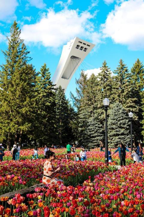 Mtlvacationrentals-The Mtlvr Kisses Монреаль Экстерьер фото